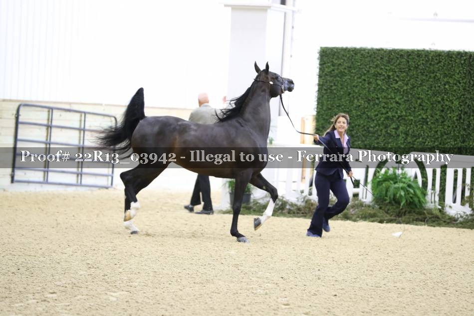 Proof 22R13_03942