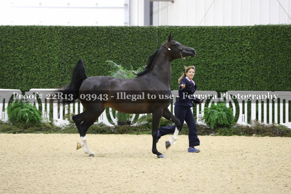 Proof 22R13_03943
