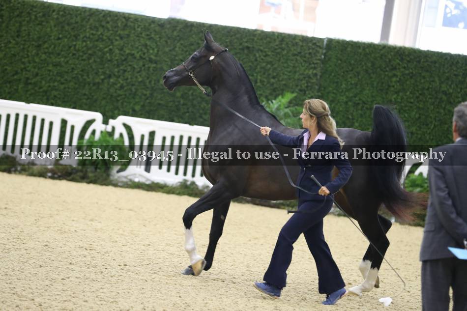 Proof 22R13_03945