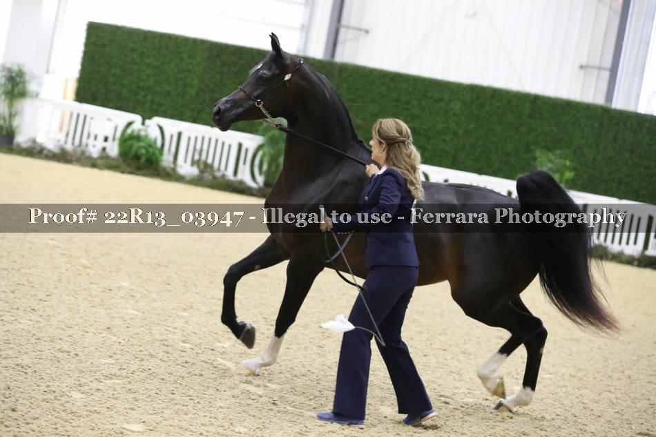 Proof 22R13_03947