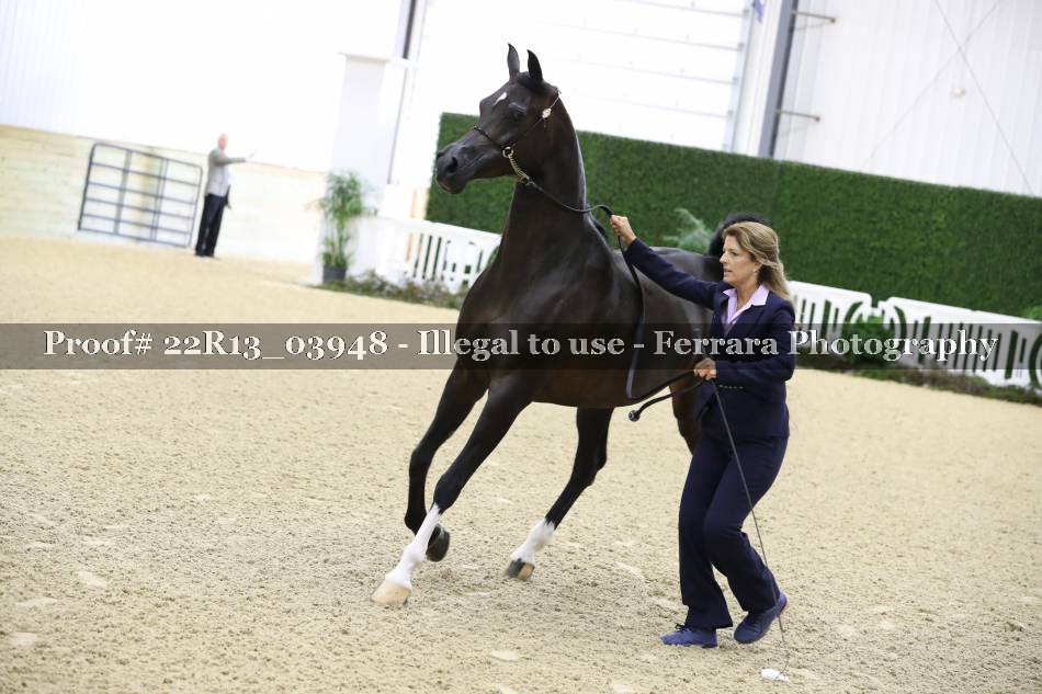 Proof 22R13_03948
