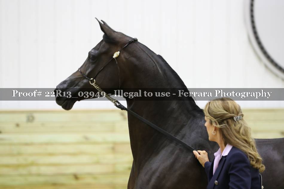 Proof 22R13_03949