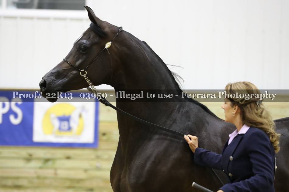 Proof 22R13_03950