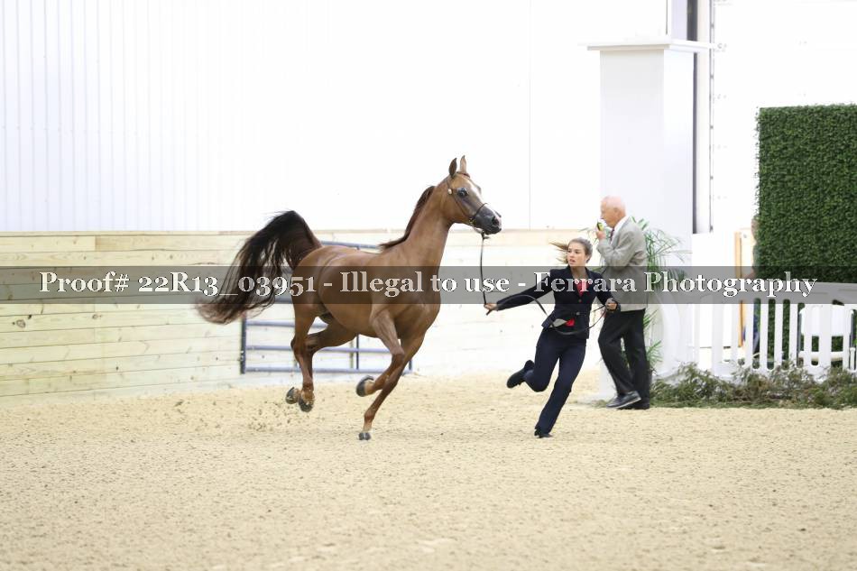 Proof 22R13_03951