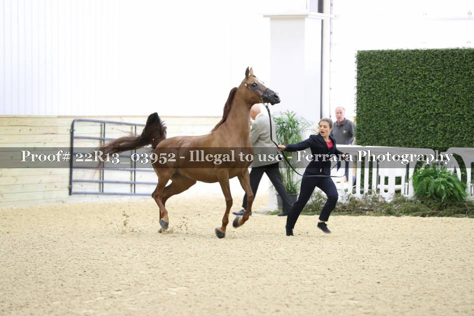 Proof 22R13_03952