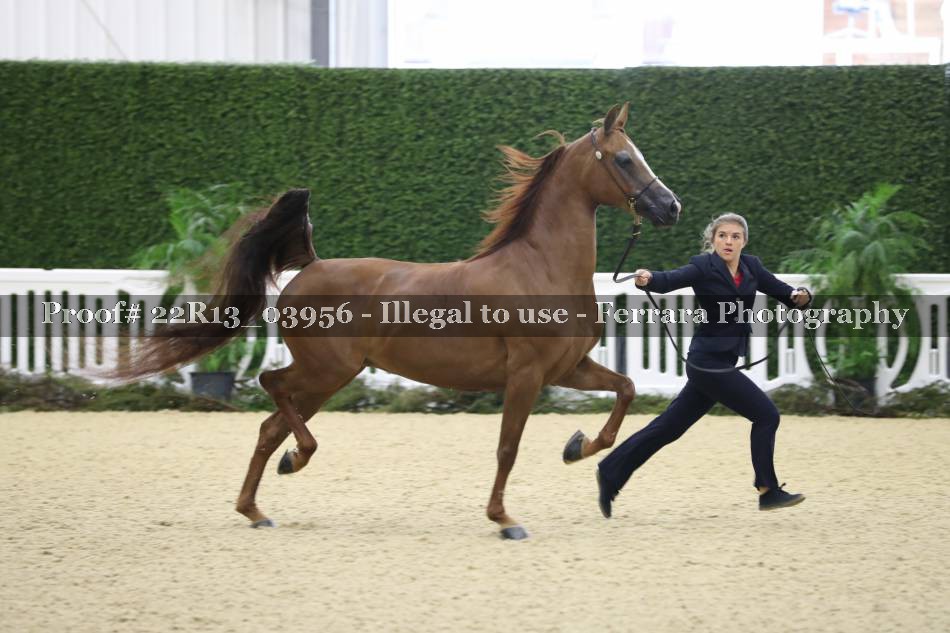 Proof 22R13_03956