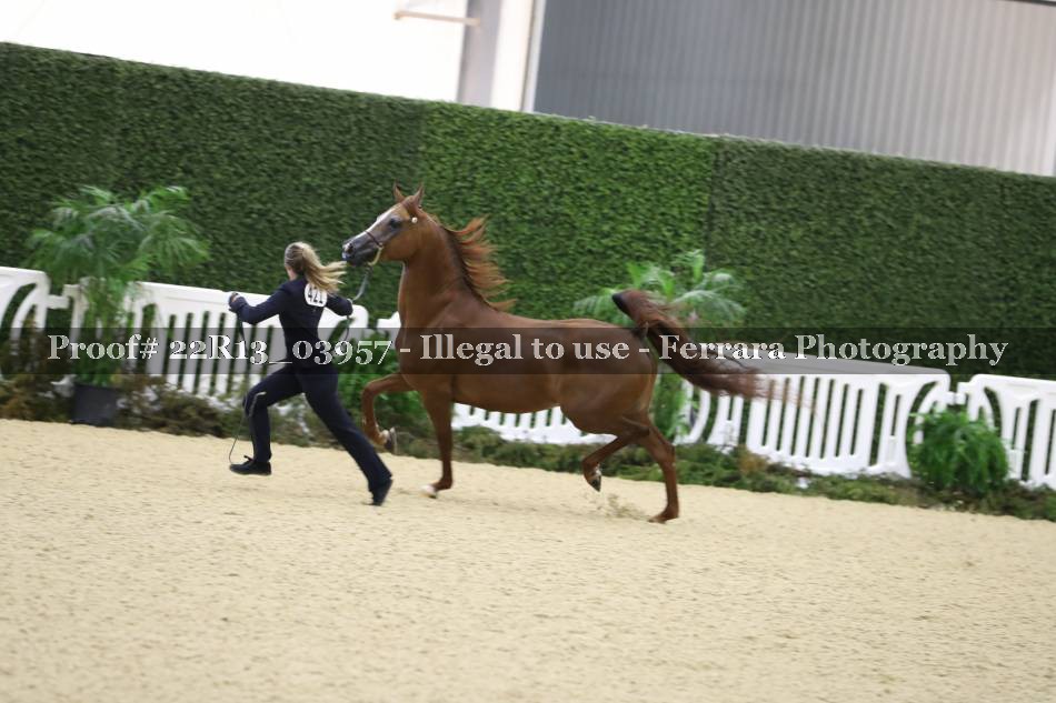 Proof 22R13_03957