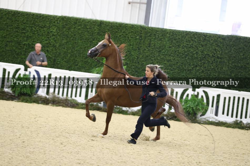 Proof 22R13_03958