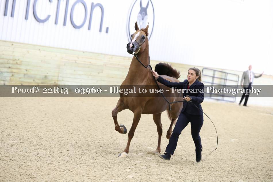 Proof 22R13_03960