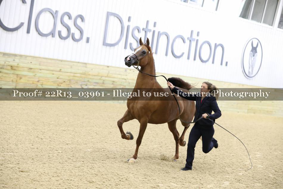 Proof 22R13_03961