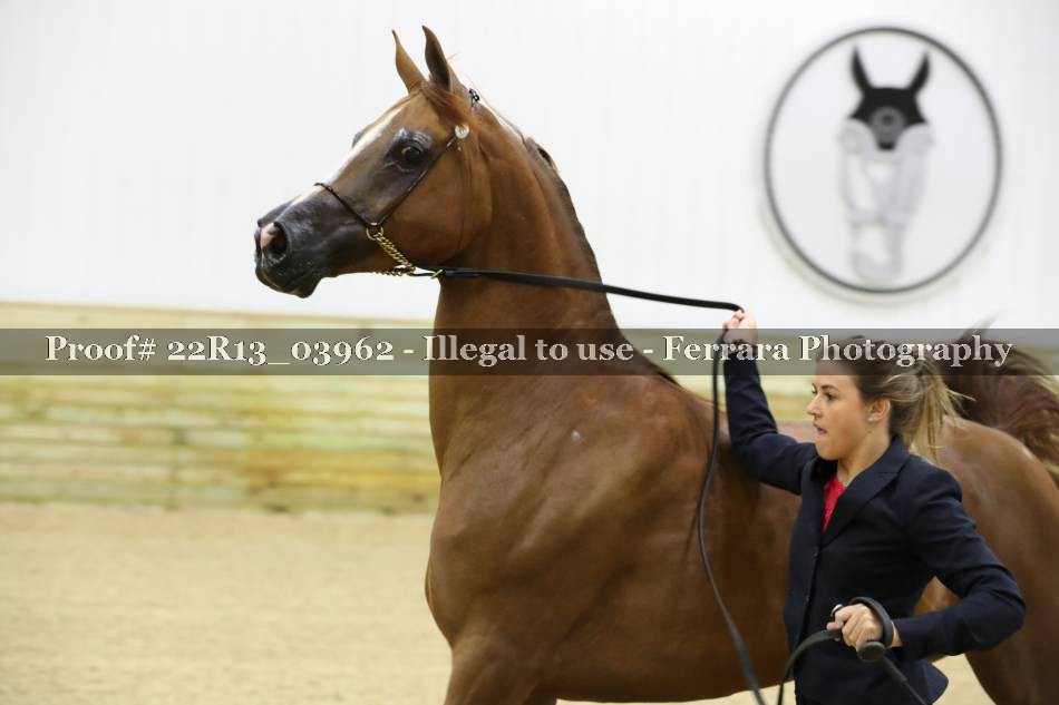 Proof 22R13_03962