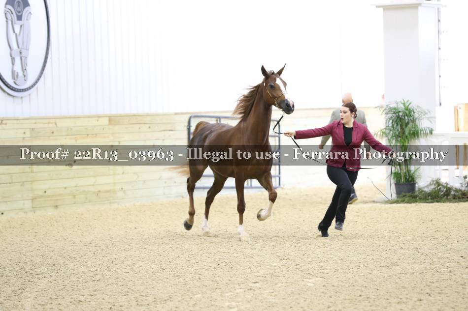 Proof 22R13_03963