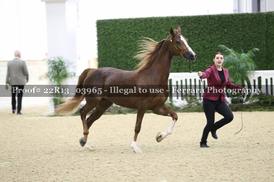 Proof 22R13_03965