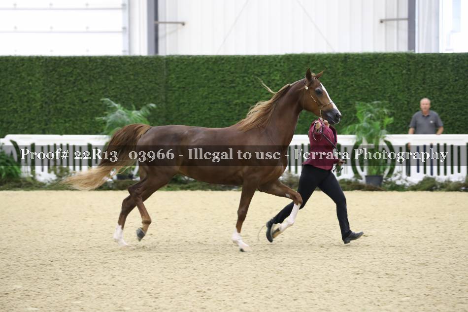 Proof 22R13_03966