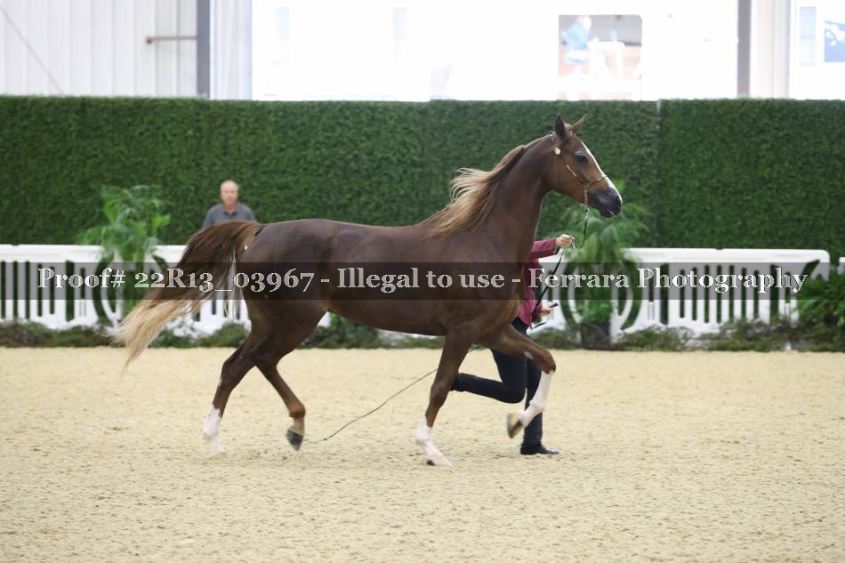 Proof 22R13_03967