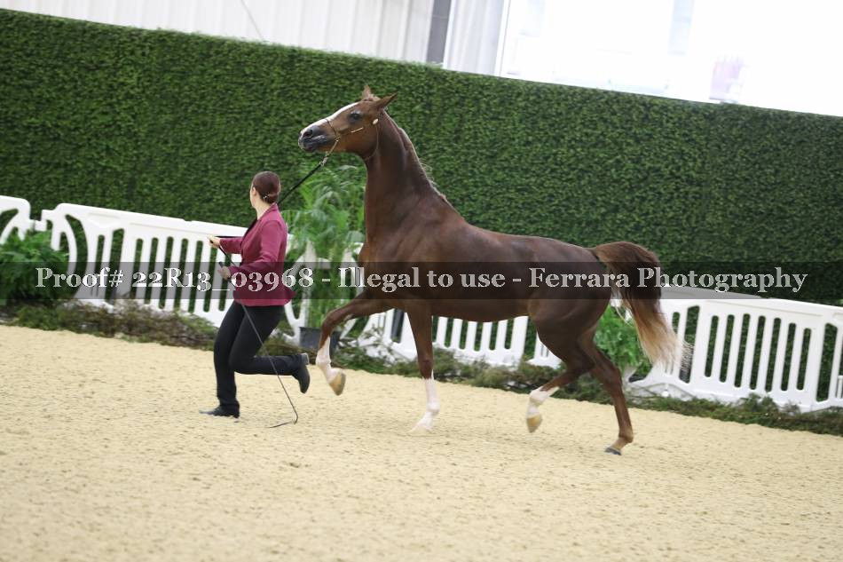 Proof 22R13_03968