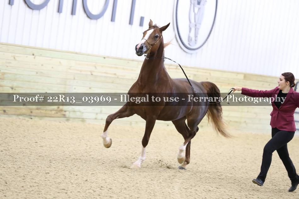 Proof 22R13_03969