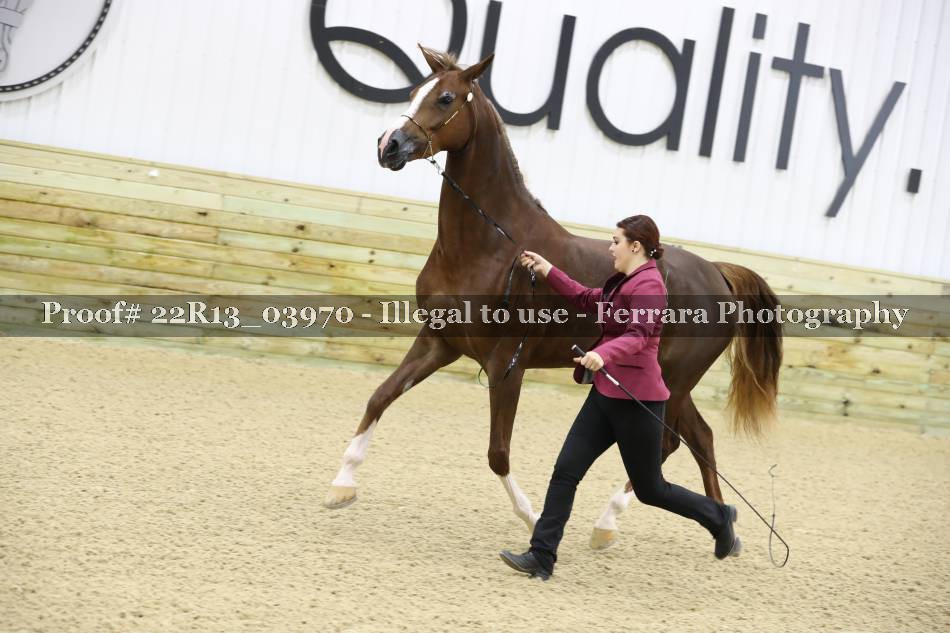 Proof 22R13_03970