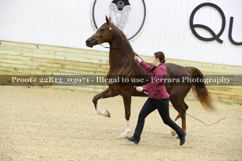 Proof 22R13_03971