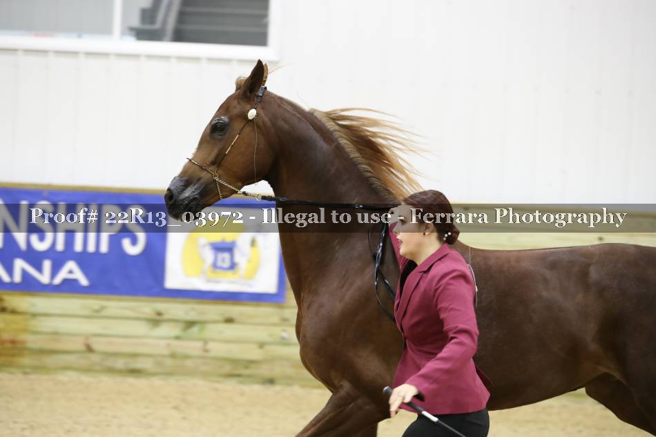 Proof 22R13_03972
