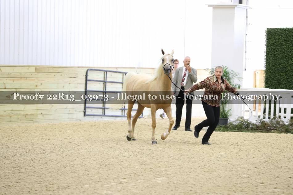 Proof 22R13_03973