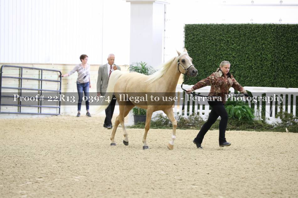 Proof 22R13_03974