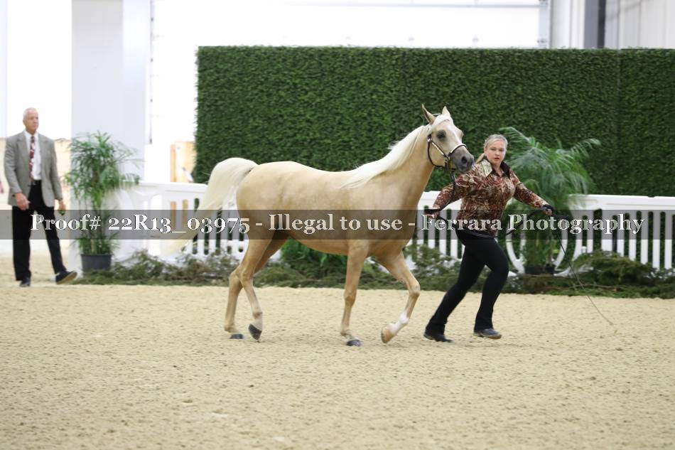Proof 22R13_03975