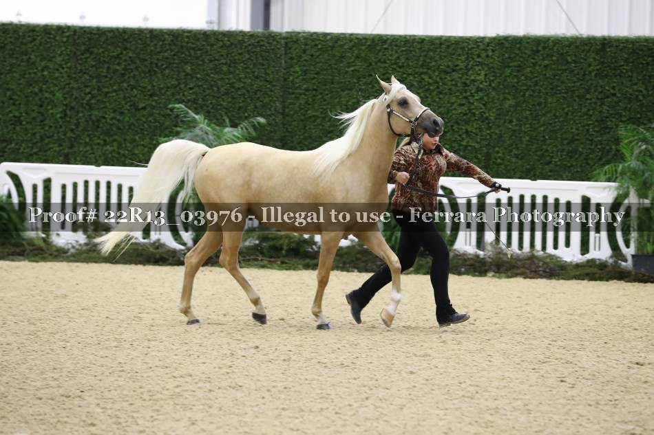 Proof 22R13_03976