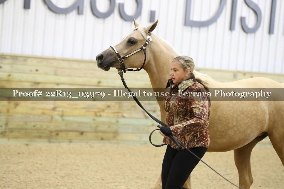 Proof 22R13_03979