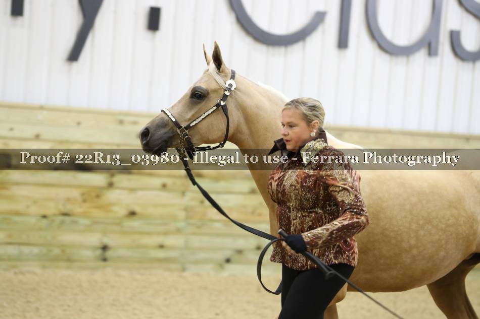 Proof 22R13_03980