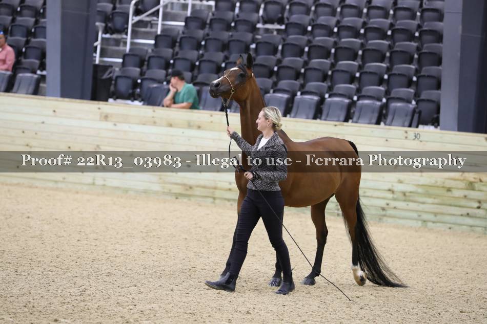 Proof 22R13_03983