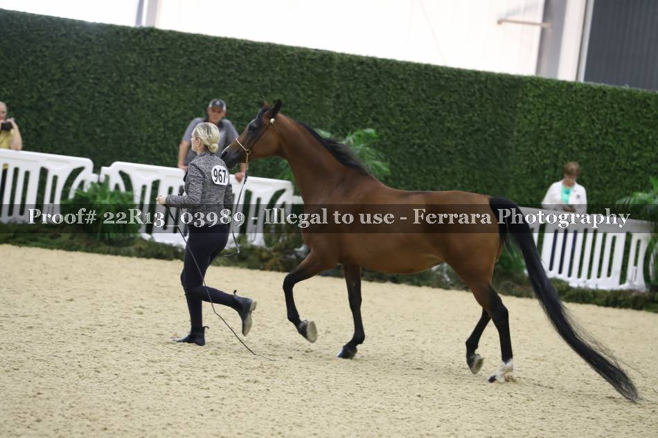 Proof 22R13_03989