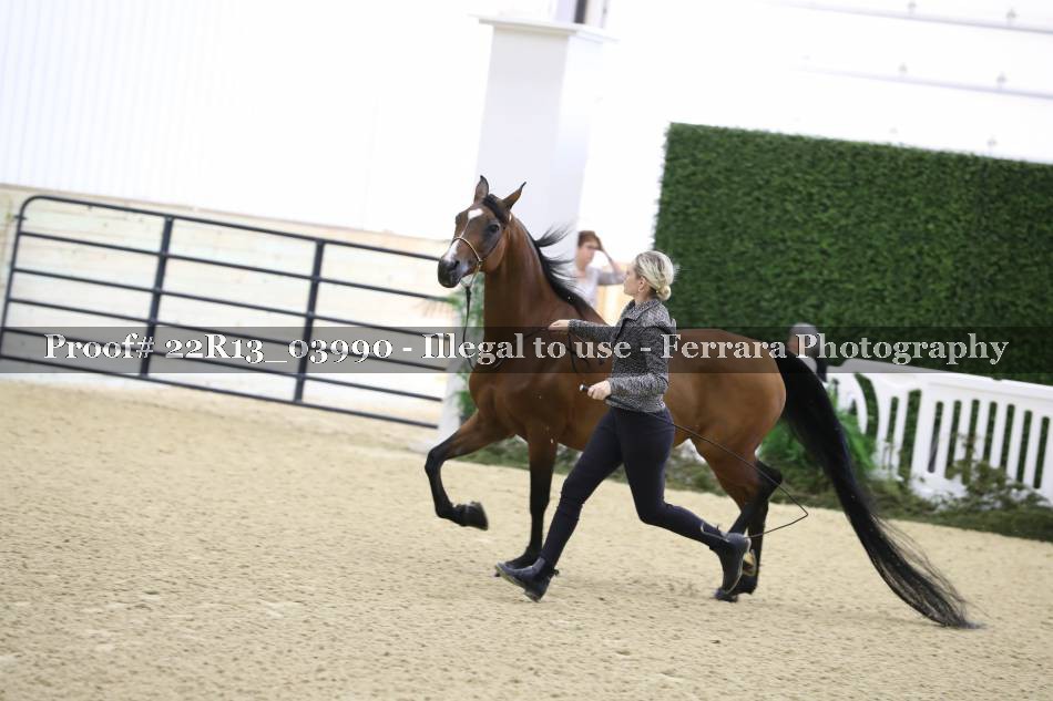 Proof 22R13_03990