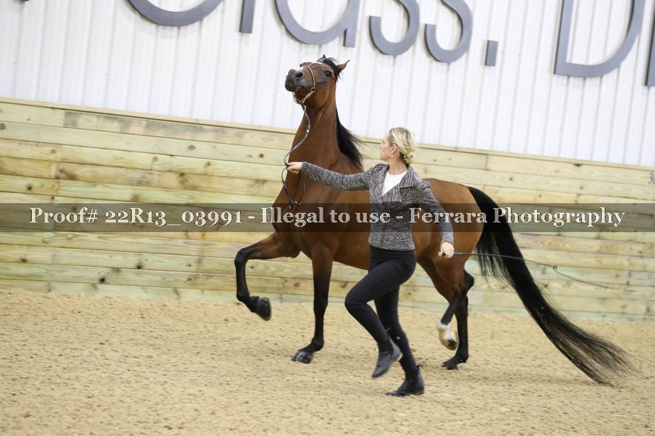 Proof 22R13_03991