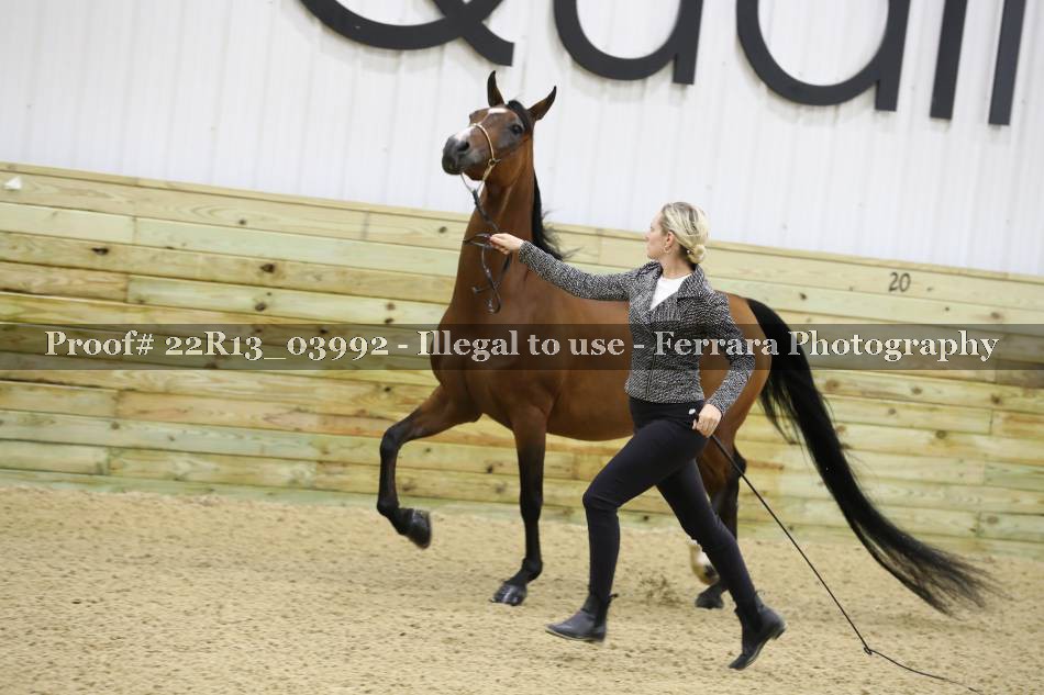 Proof 22R13_03992