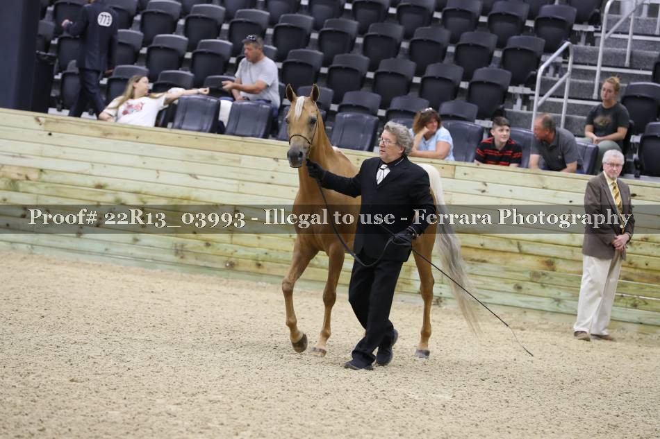 Proof 22R13_03993