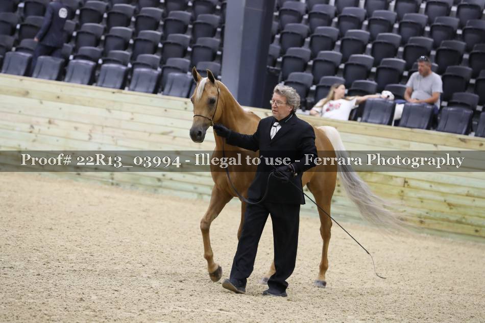 Proof 22R13_03994