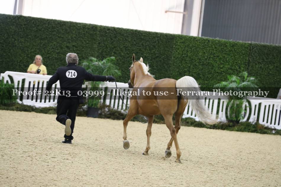 Proof 22R13_03999