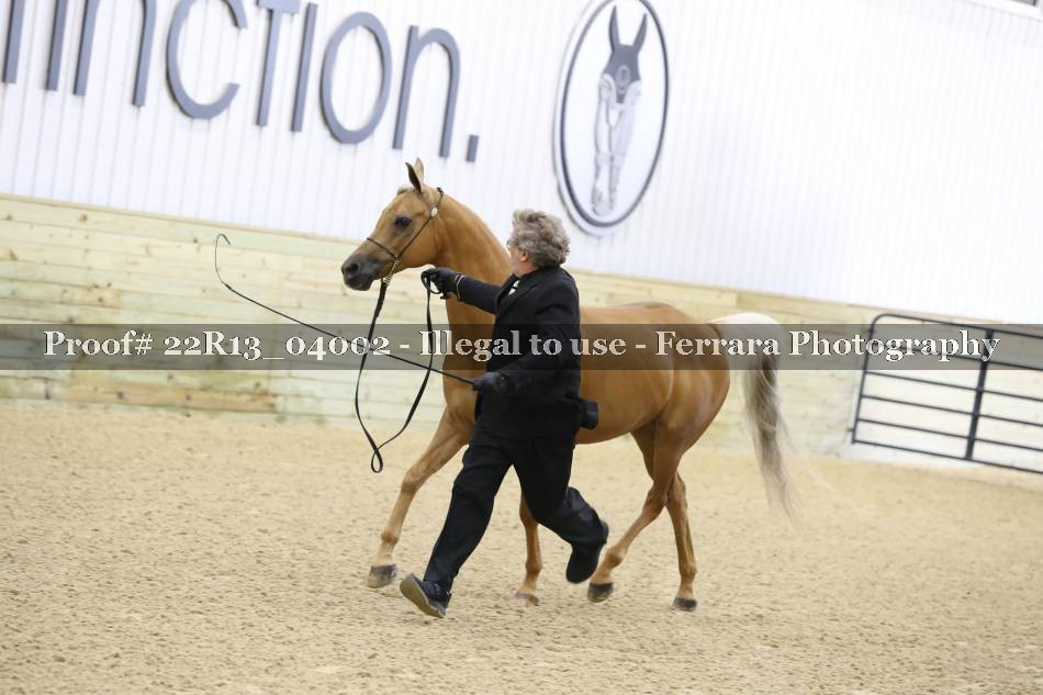 Proof 22R13_04002