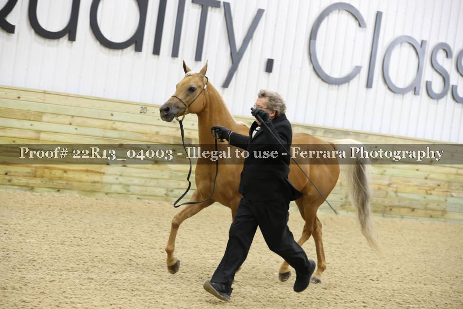 Proof 22R13_04003