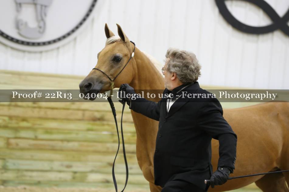 Proof 22R13_04004