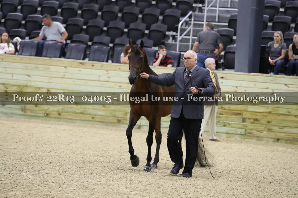 Proof 22R13_04005
