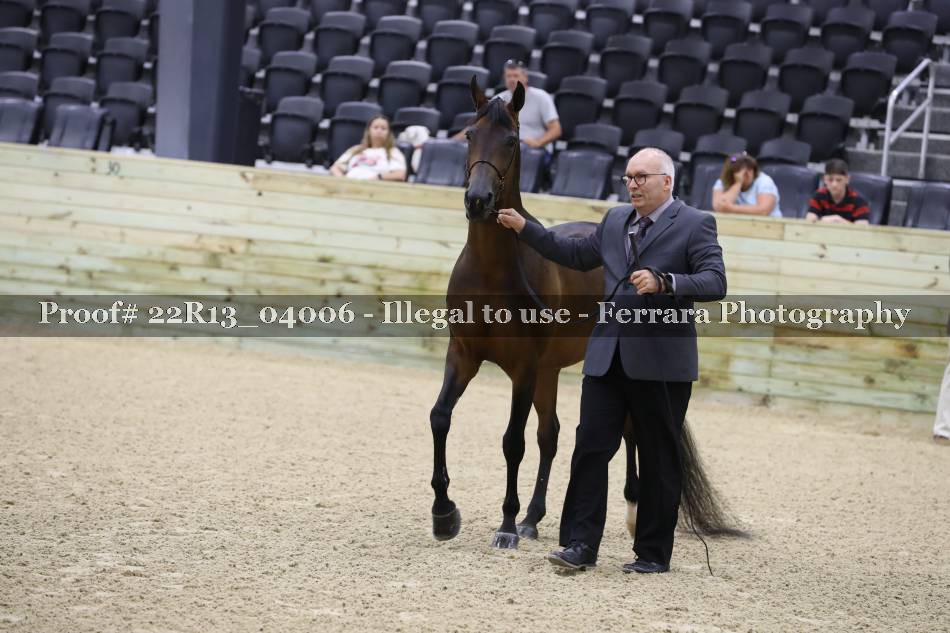 Proof 22R13_04006