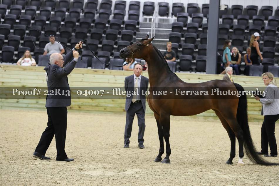 Proof 22R13_04007