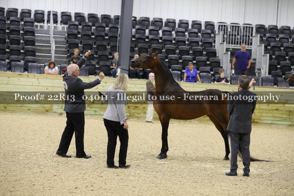 Proof 22R13_04011