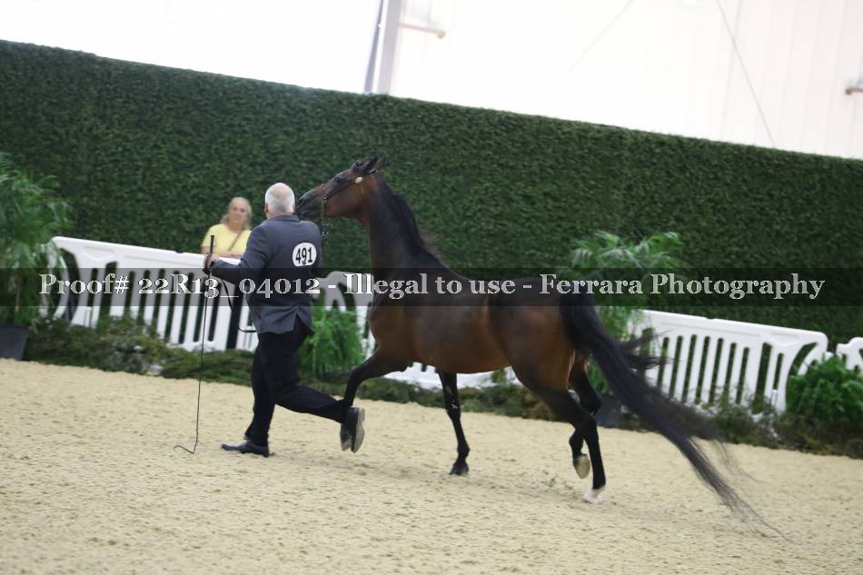 Proof 22R13_04012