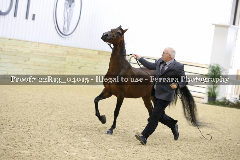 Proof 22R13_04015