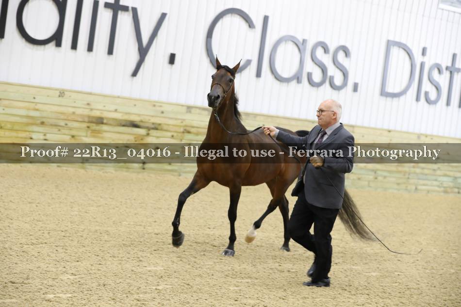 Proof 22R13_04016