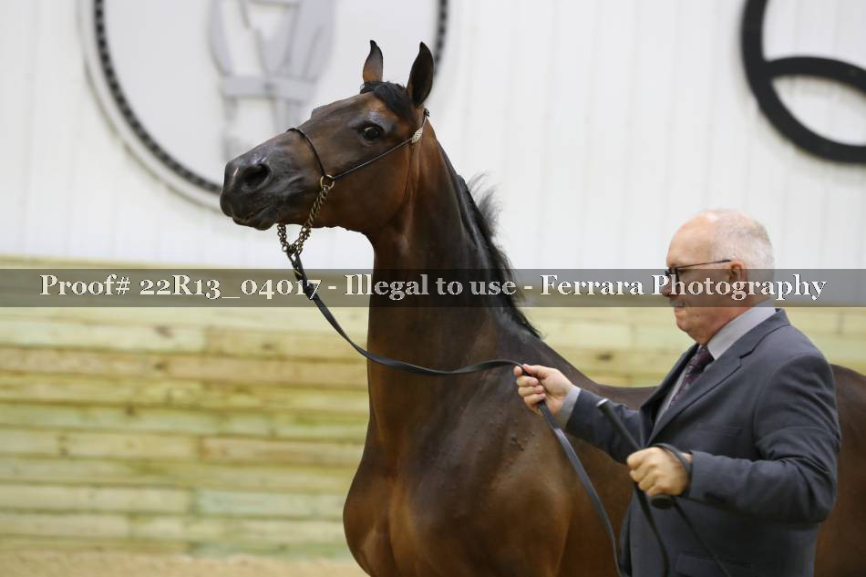 Proof 22R13_04017