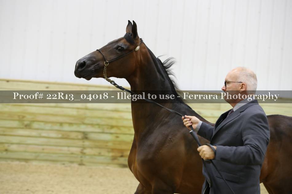 Proof 22R13_04018